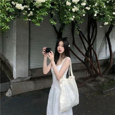 月陨回声